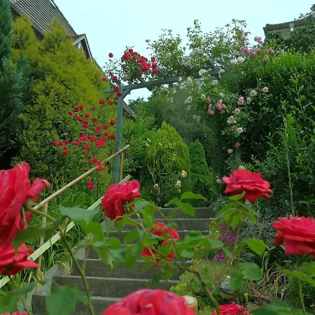 Sonnenschein Apartamento *